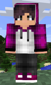 hayech's skin taken from the skindex, ingame version pending